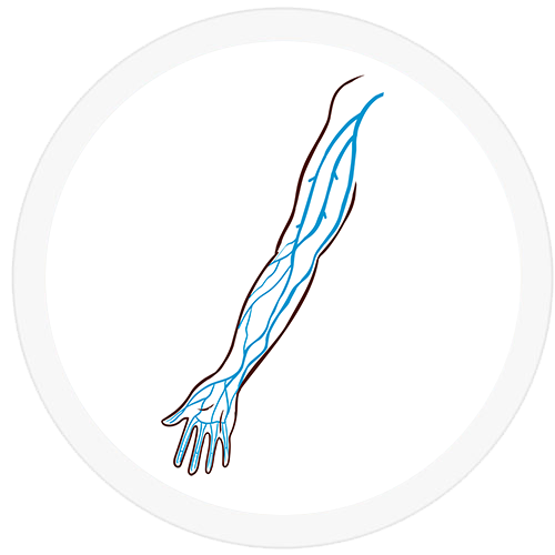 veines-membres-superieur veines-membres-superieur